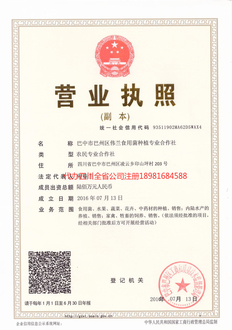 义马义马伟兰食用菌种植专业合作社